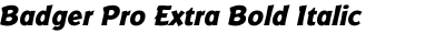 Badger Pro Extra Bold Italic